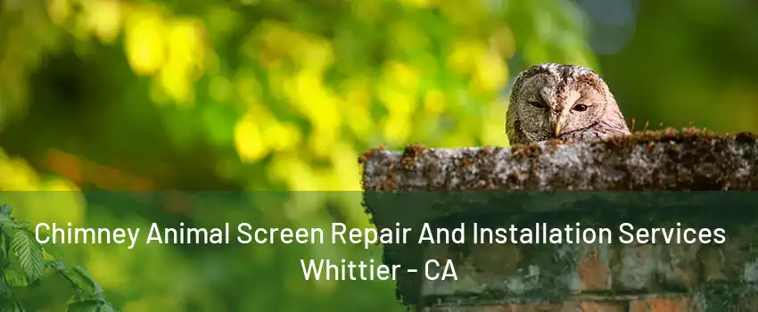 Chimney Animal Screen Repair And Installation Services Whittier - CA