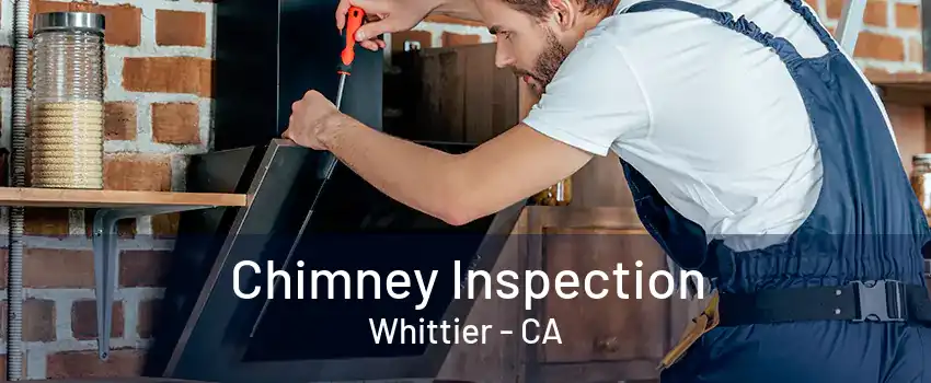 Chimney Inspection Whittier - CA