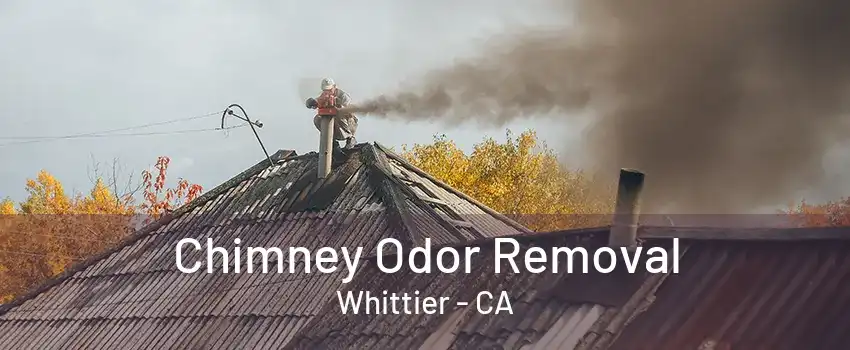 Chimney Odor Removal Whittier - CA