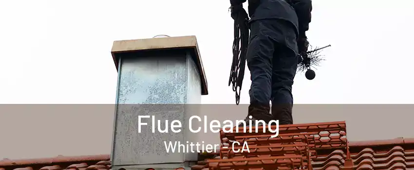 Flue Cleaning Whittier - CA