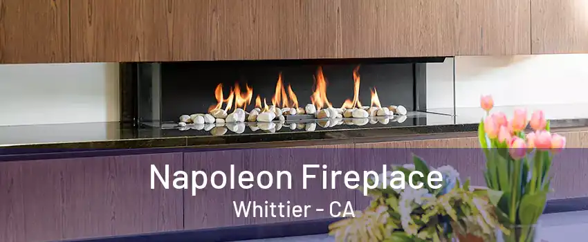 Napoleon Fireplace Whittier - CA